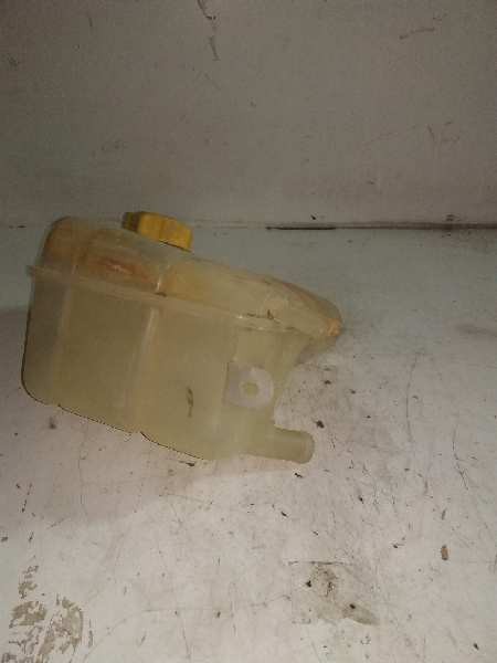 DEPOSITO EXPANSION FORD TOURNEO CONNECT Familiar 1104120