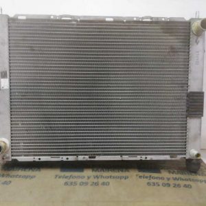 RADIADOR AGUA RENAULT CLIO III Authentique 8200149953